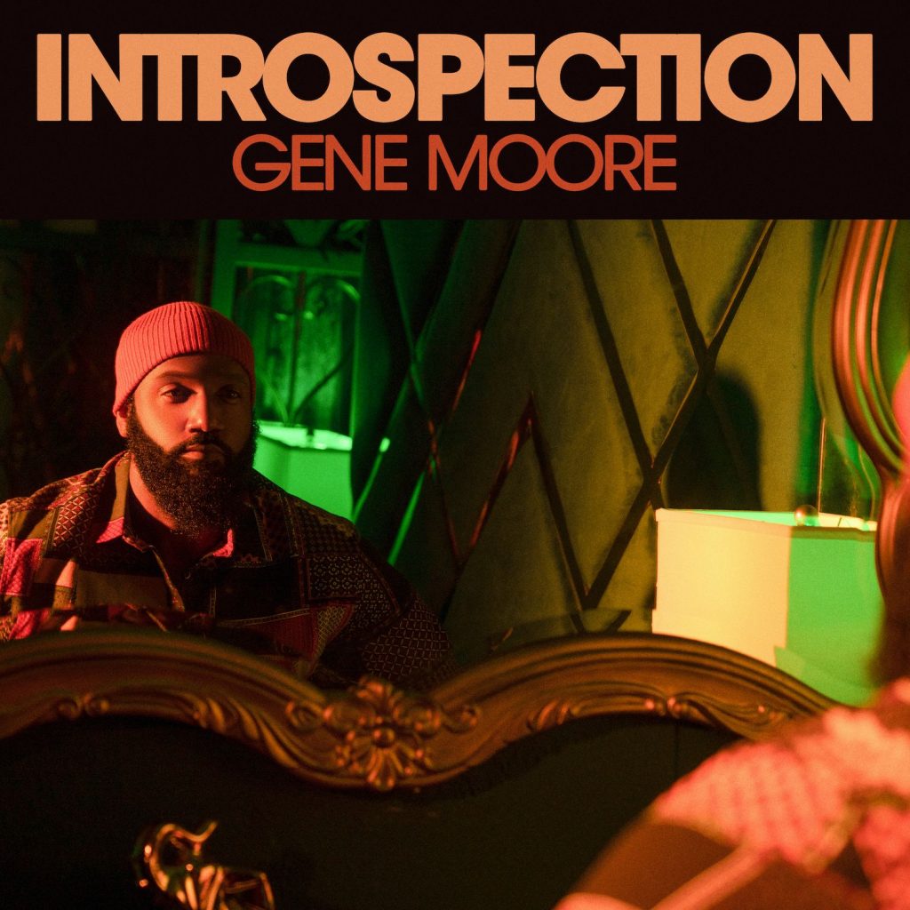 introspection cover art